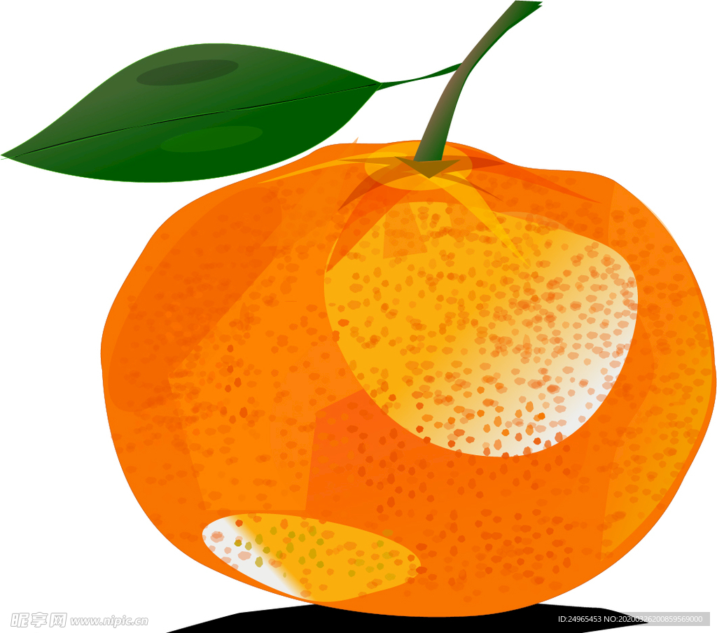 矢量柑橘插图