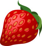 矢量草莓插图