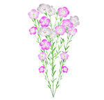 花束