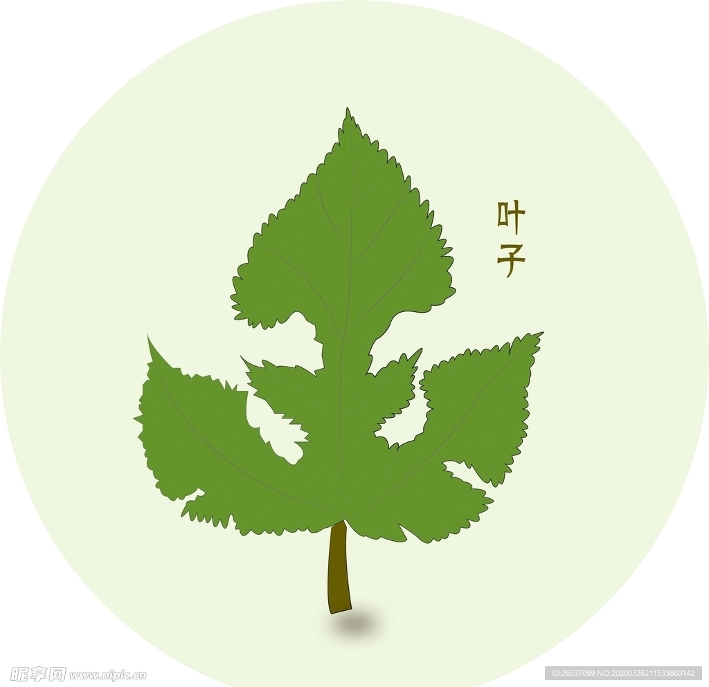 叶子
