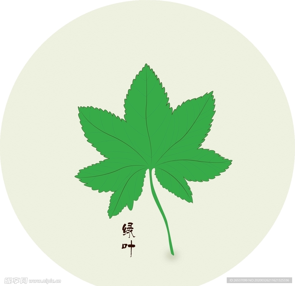 绿叶