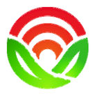 奥亚