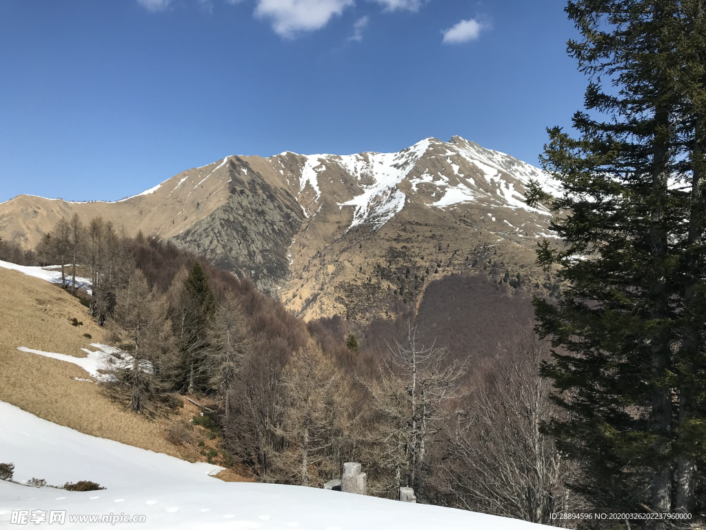 阿尔卑斯山 高山