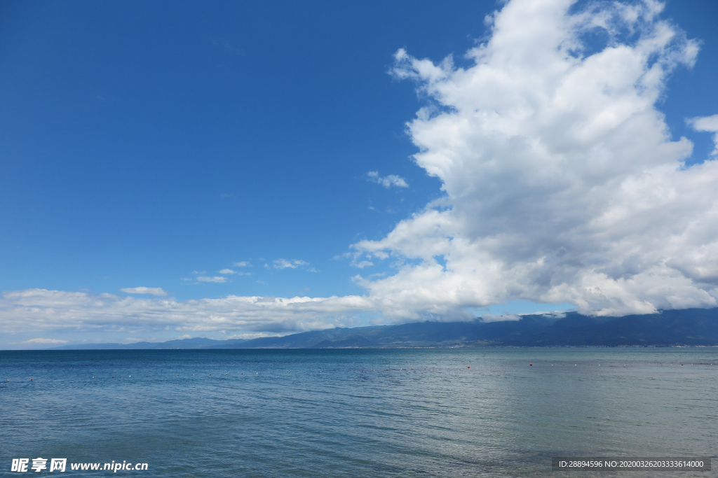海洋 海滩 云