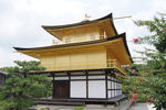 日本 金色的宝塔