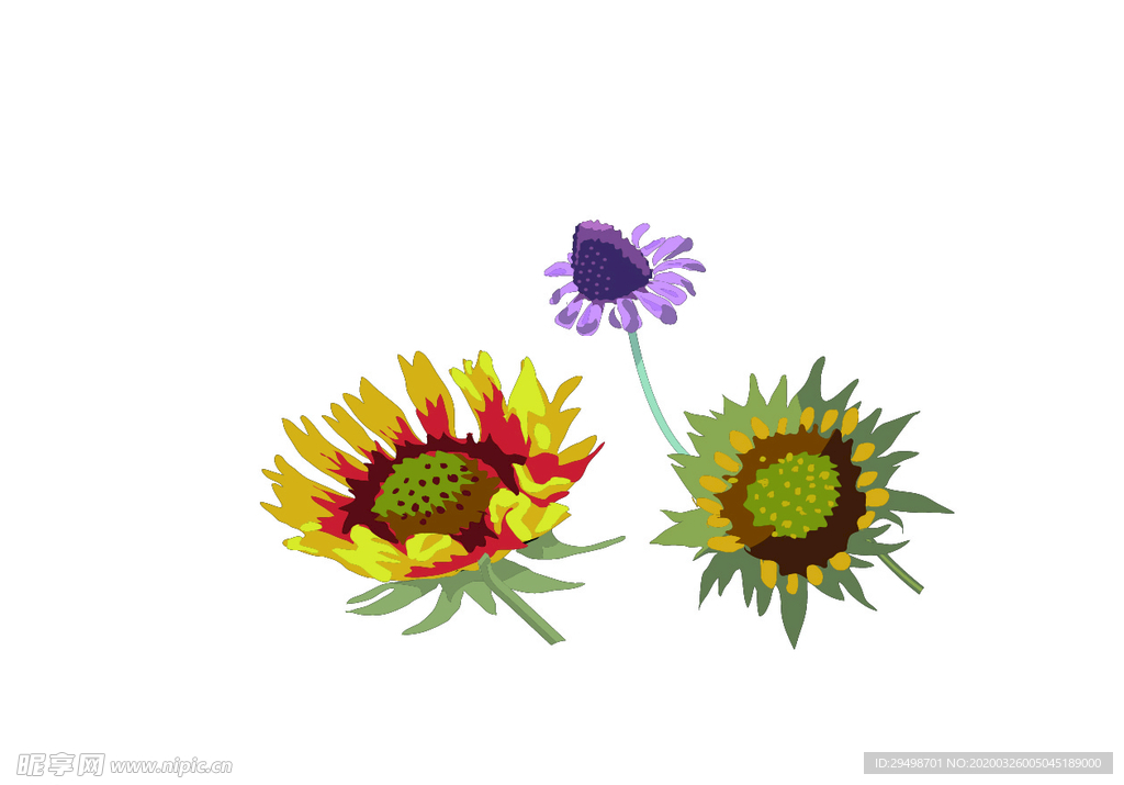 花苞