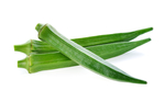 绿色蔬菜茼蒿高清摄影图片
