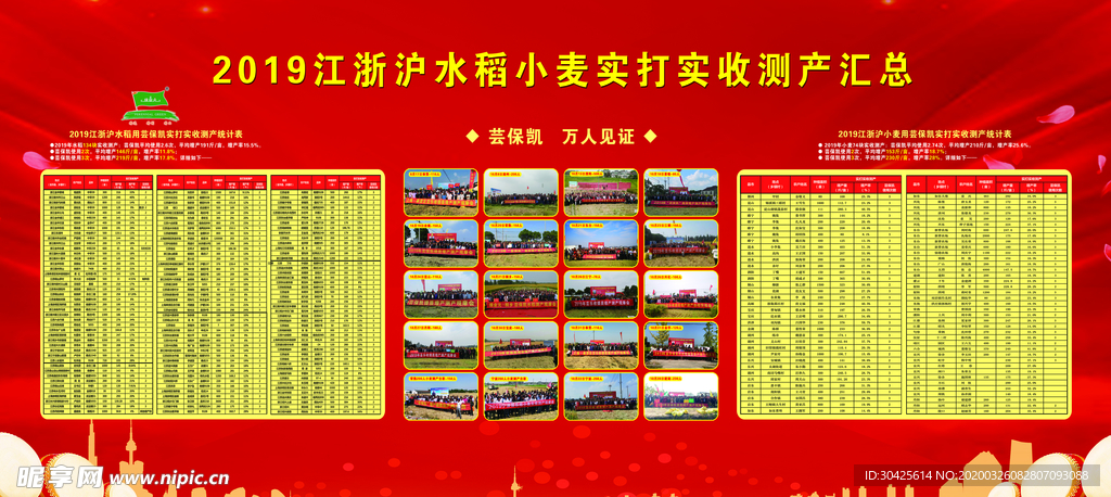 芸保凯小麦收测产汇总