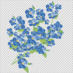蓝花