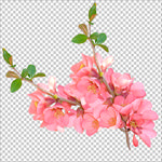 花
