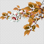 花