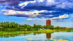 湿地风景
