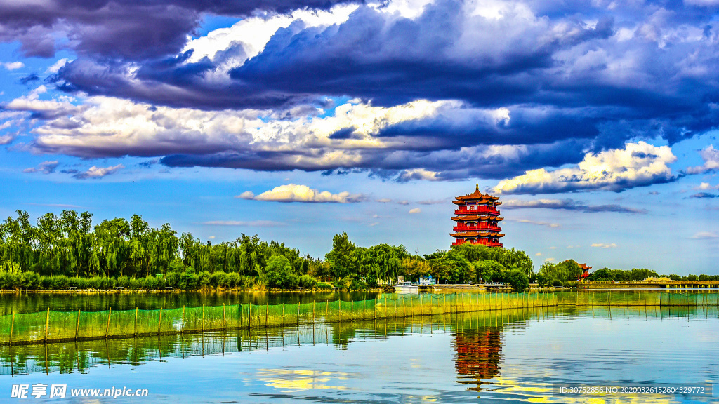 湿地风景