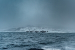 海浪