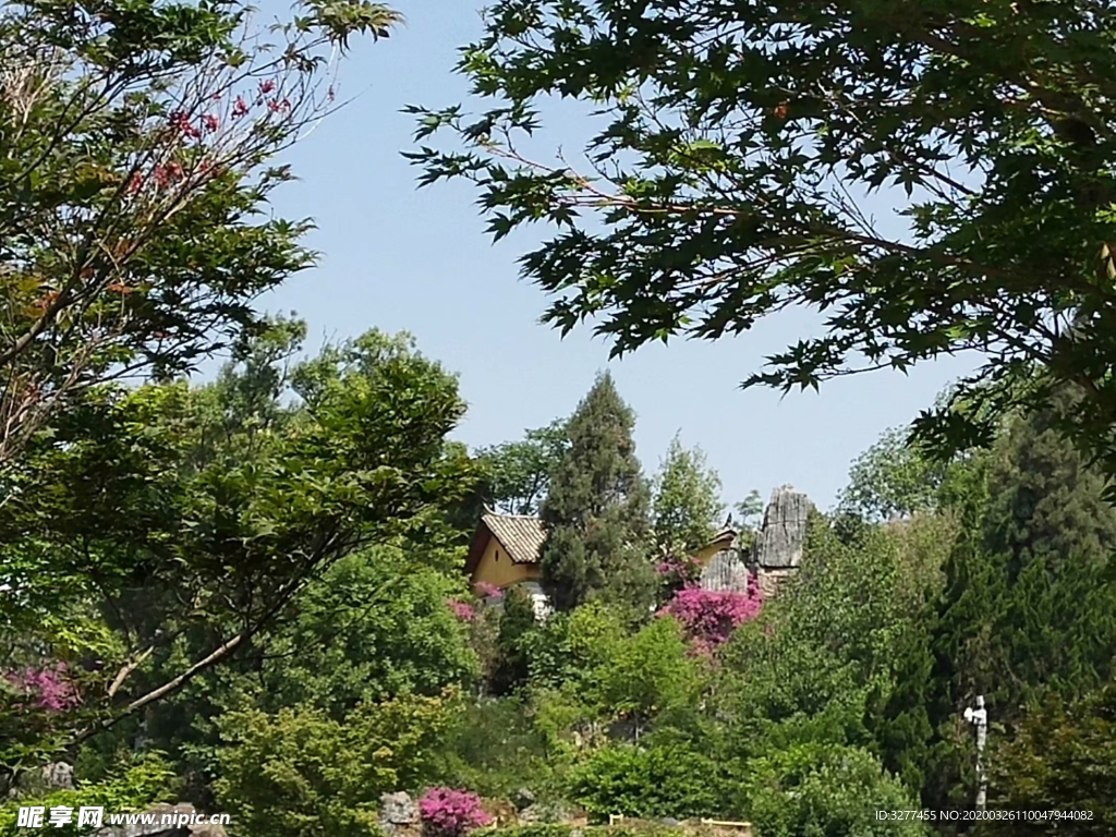 景色一角