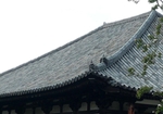 古建屋脊