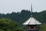 古建摄影