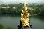 古建龙
