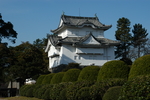 日本城主府