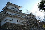 日本神社