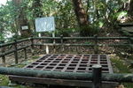 日本古井