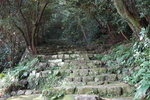 深山小路