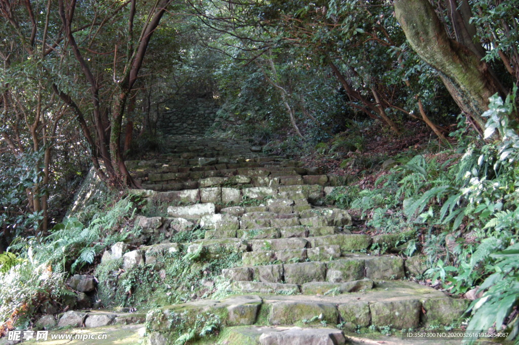 深山小路