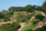 古城遗址
