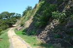 山间小路