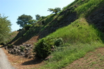 荒野山坡