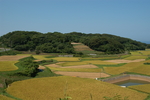 野外山坡