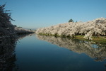河岸风景