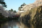护城河