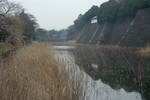 河流摄影