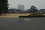 公园绿地