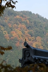 古建屋脊