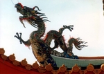 古建龙