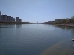 水面 湖边 河边 城市河边