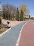 河畔公园 健康步道