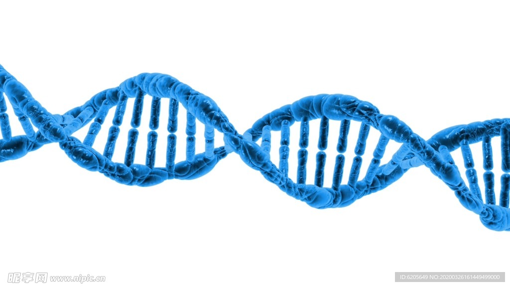 DNA基因双螺旋结构
