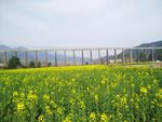 田园风光