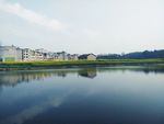 水池