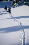 滑雪