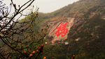 黑麋峰福地