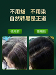 洗发水主图 化妆品主图