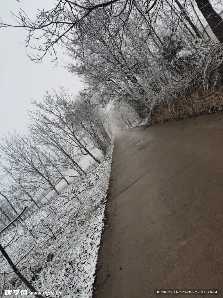 雪景