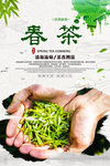 春茶海报设计