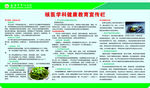 健康教育宣传栏