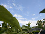 天空
