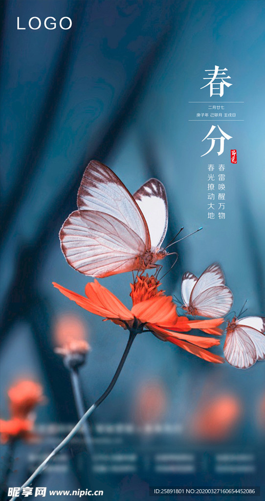 春分节气图海报